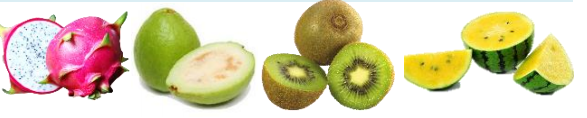 fruits 2.PNG